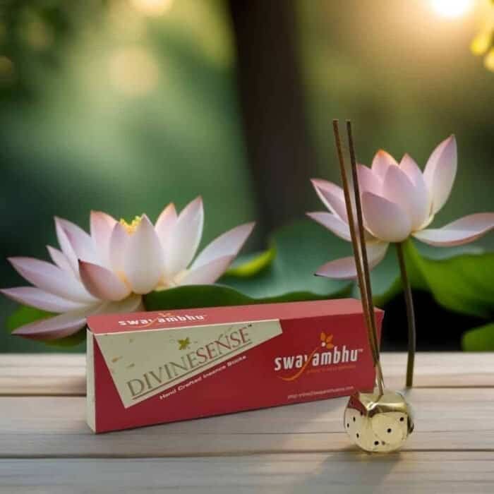 17761926 1745674167913