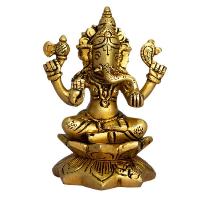 17764352 1761801751665