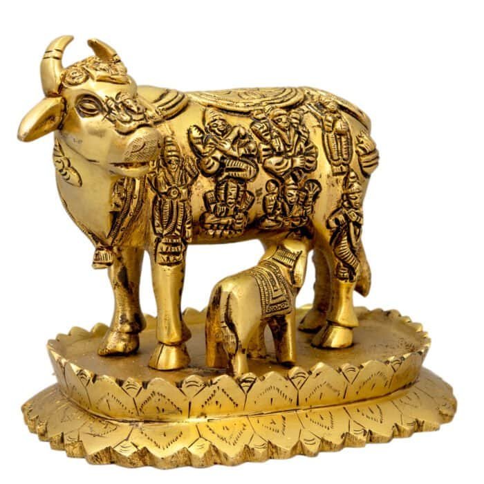 BR KAMDHENU COW - Image 2