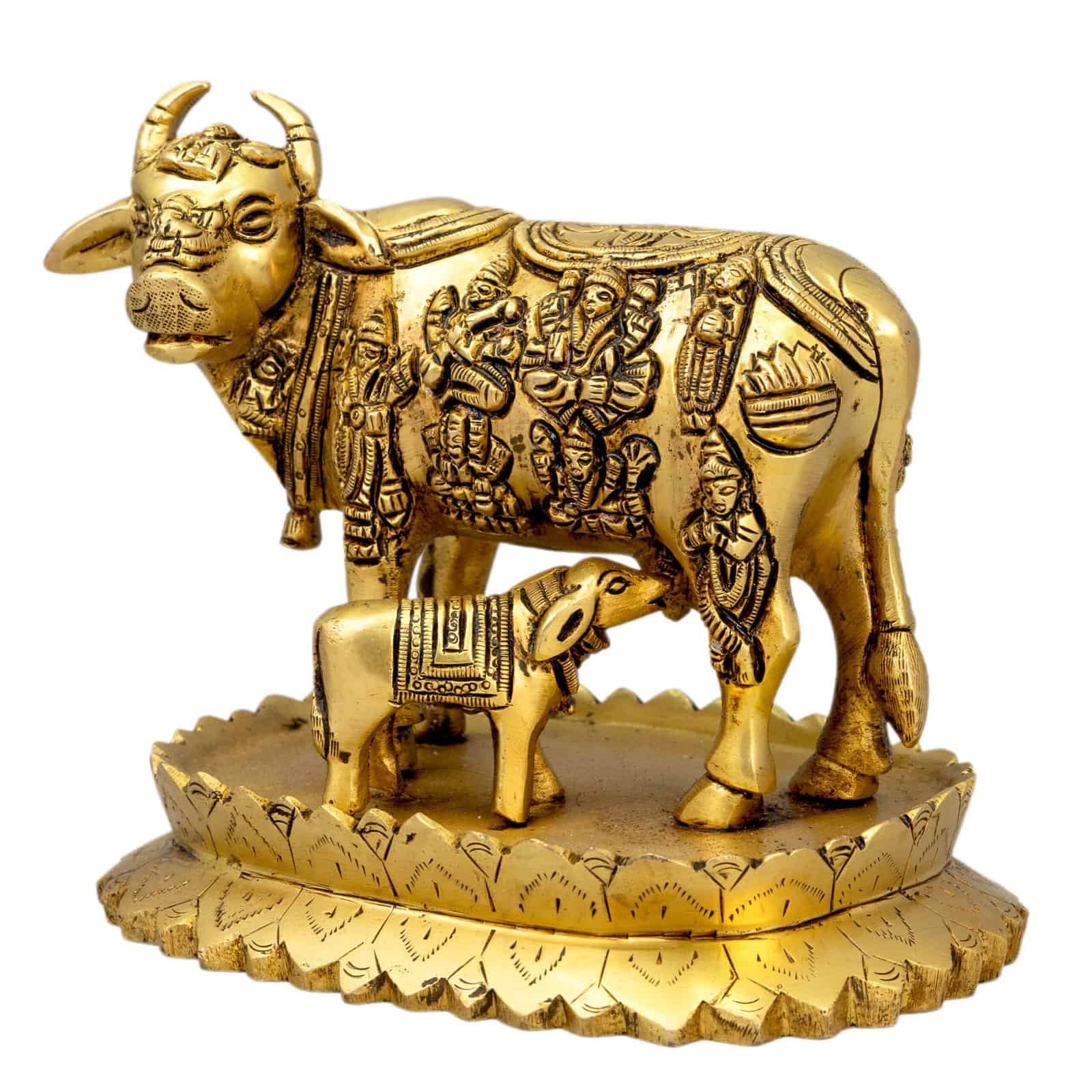 1049383 BR KAMDHENU COW - Image 1