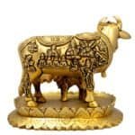 BR KAMDHENU COW - Image 3
