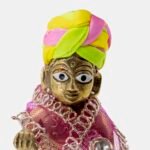 MLTICLR PAGDI - Image 5