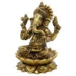 BR LOTUS AASAN GANESH - Image 5