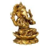 BR LOTUS AASAN GANESH - Image 8