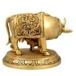 BR COW AND CALF - Image 5