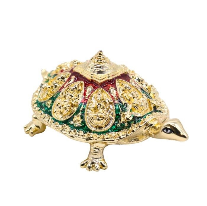 FB YANTRAM KACHUA - Image 3