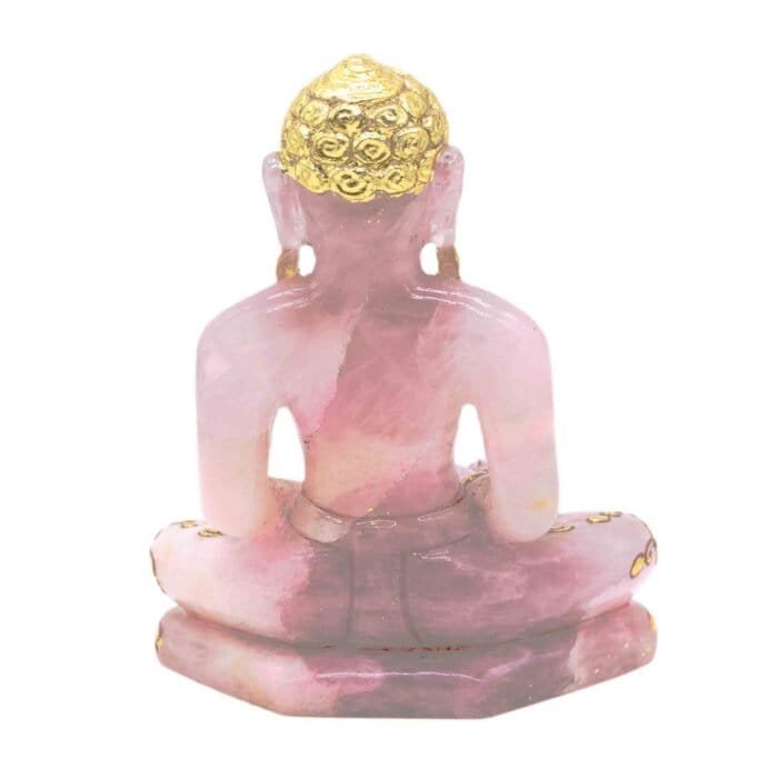 MB 003 MAHAVIR JI - Image 4