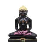 MB 030 MAHAVIR JI - Image 4