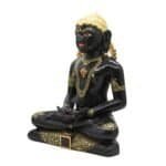 MB 032 MAHAVIR JI - Image 4