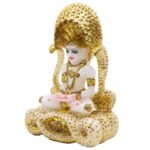 MB PARASHNATH D063