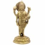 BR STANDING DHANVANTRI