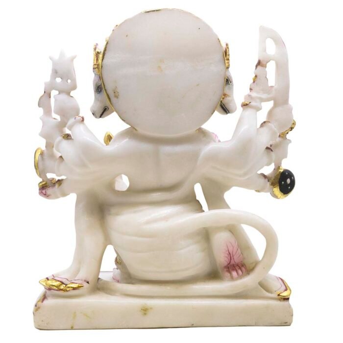 MB HANUMAN D010 - Image 4