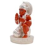 FB NA 9010 HANUMAN - Image 4