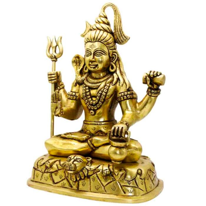 BR V SHIV JI - Image 9