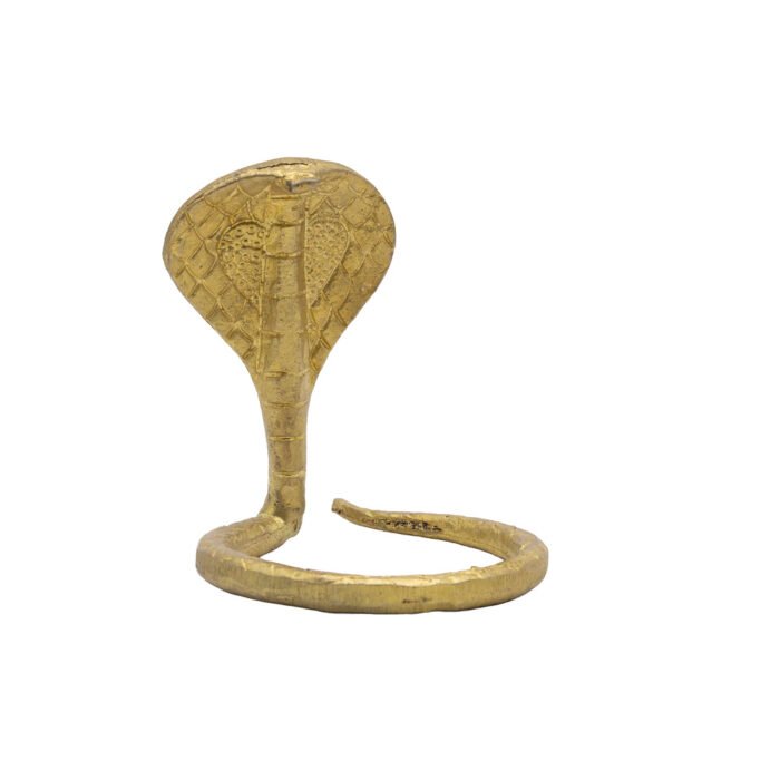 BR SHIVLING NAAG - Image 4