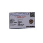 CERTIFIED RUDRAKSH - Image 2