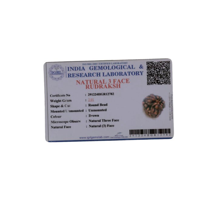 CERTIFIED RUDRAKSH - Image 2