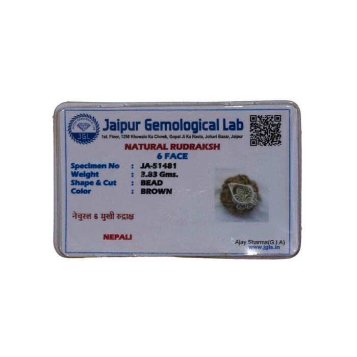 CERTIFIED RUDRAKSH - Image 3