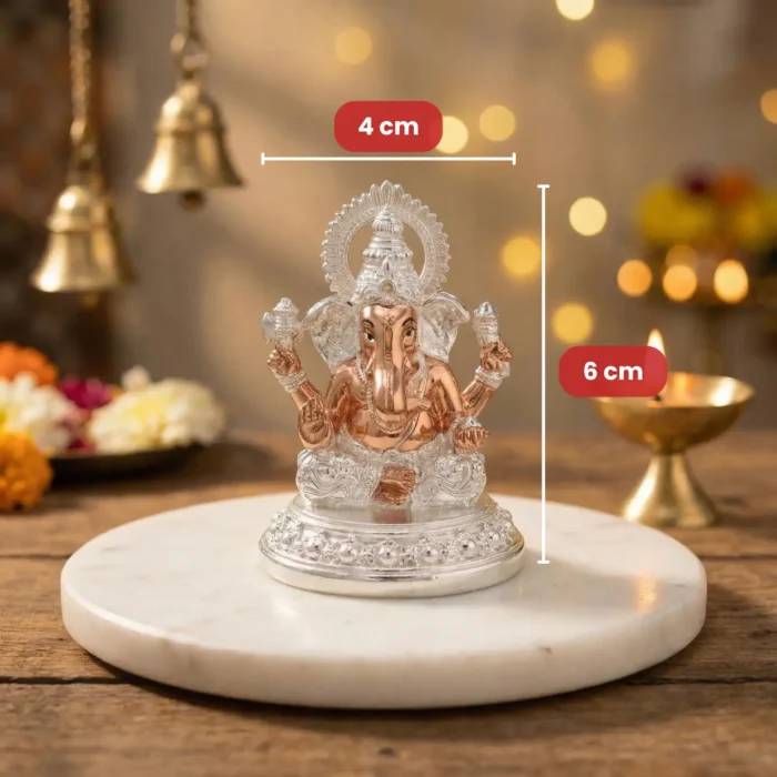 FB NA9051 GANESH - Image 5