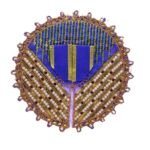 FANCY BK GOLVASTRA D173 - Image 3