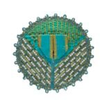 FANCY BK GOLVASTRA D173