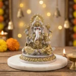 FB NA1105 GANESH