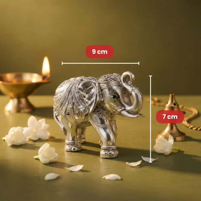 FB RAJWADI ELEPHANT - Image 7