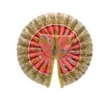 FANCY GP17363 GOLVASTRA D196 - Image 2