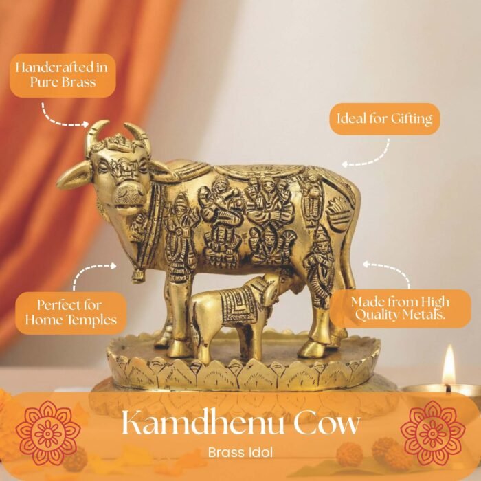 BR KAMDHENU COW - Image 2