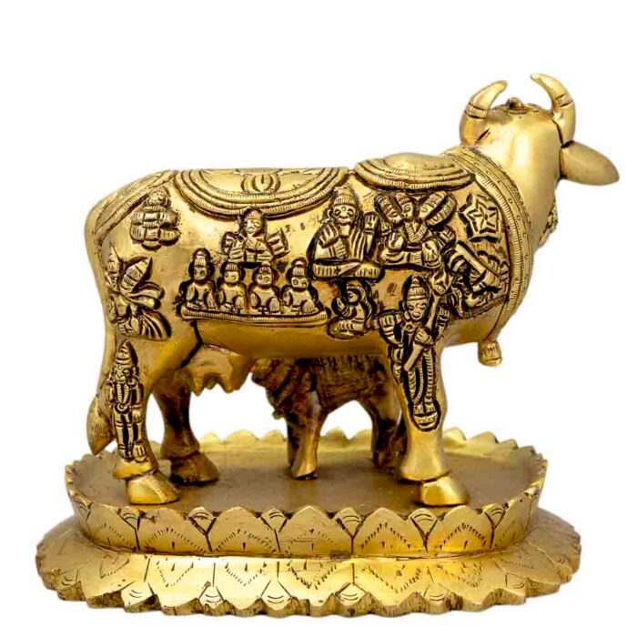 BR KAMDHENU COW - Image 5