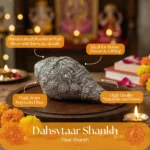 FB ANTIQUE SHANKH - Image 2