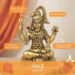 BR V SHIV JI - Image 2