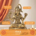 BR V SHIV JI - Image 7