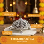 FB YANTRAM KACHUA - Image 3