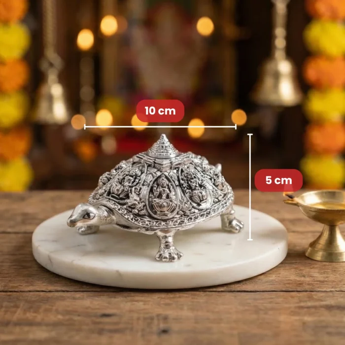 FB YANTRAM KACHUA - Image 4