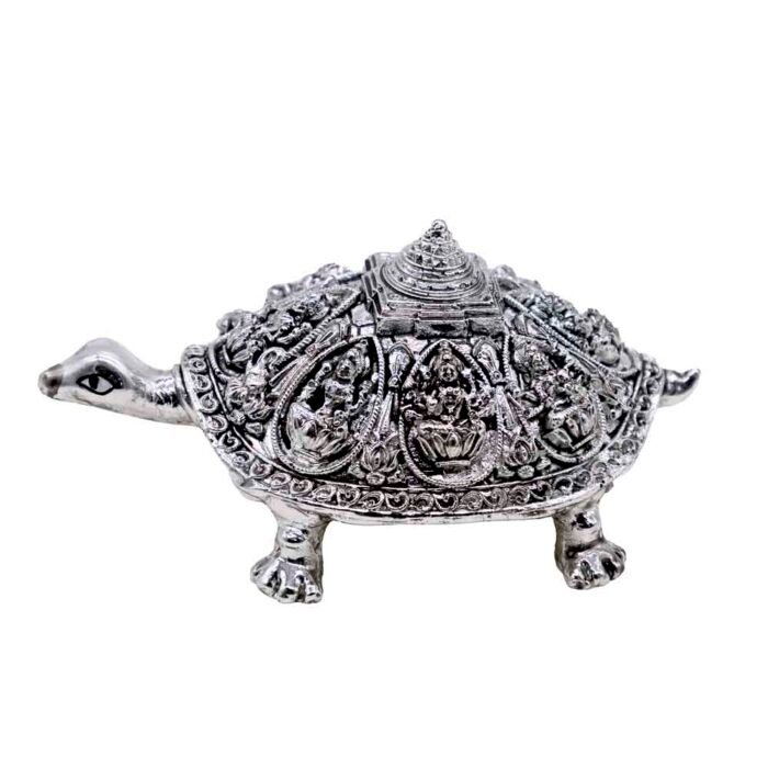 FB YANTRAM KACHUA - Image 5