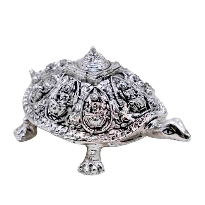 FB YANTRAM KACHUA - Image 7