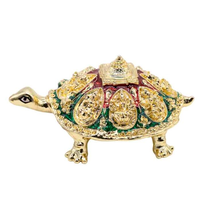 FB YANTRAM KACHUA - Image 8