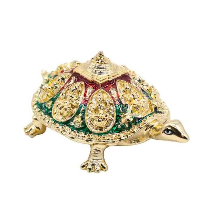 FB YANTRAM KACHUA - Image 10