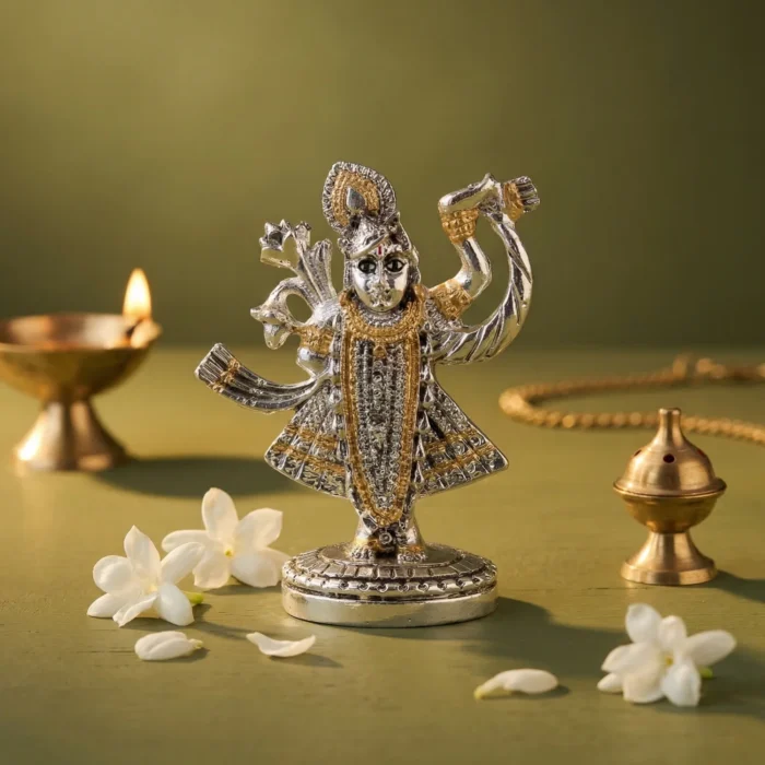 FB ANTIQUE SHRINATHJI - Image 5