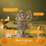 FB ANTIQUE SHRINATHJI - Image 6