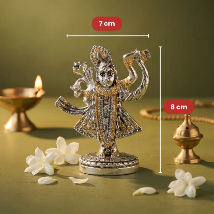 FB ANTIQUE SHRINATHJI - Image 7