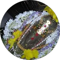 Susmitha Dhanraj