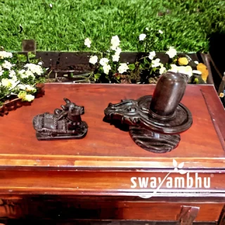 The black marble Shivling and Nandi create a harmonious tableau, reflecting the inseparable bond between the divine deity and his faithful companion. 
#swayambhumumbai #shivsambhu #shivji
